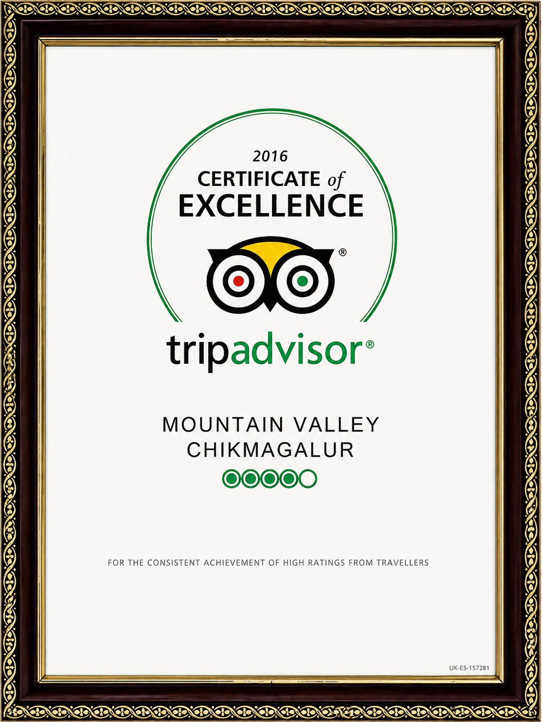 Trip advisor